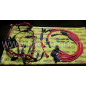 Ferrari 308 GT4 High Conductivity Red Spark Plug Wires Increased Ferrari 308 GT4 High Conductivity Red Spark Plug Wires Increased