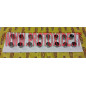 Punterie speciali Lancia Delta 2000 8-16v