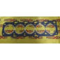Reinforced head gasket Fiat Coupe 2400 20v Turbo separate rings from support