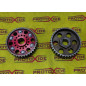 Verstelbare nokkenaspoelie Ford Fiesta RS Escort Turbo 1600 verstelbare timing